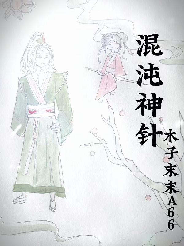 混沌神针书旗网