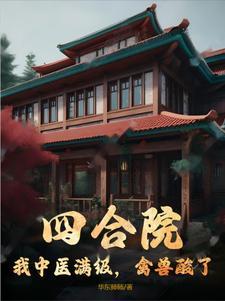 四合院开局满级医术笔趣阁 四合院开局满级医术笔趣阁