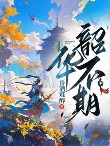 韶华不再下一句 韶华不再下一句