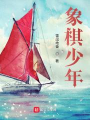 中国象棋锦标赛 中国象棋锦标赛