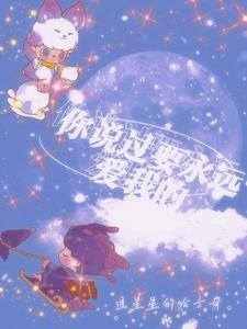 你说过会永远永远的爱我是什么歌 你说过会永远永远的爱我是什么歌