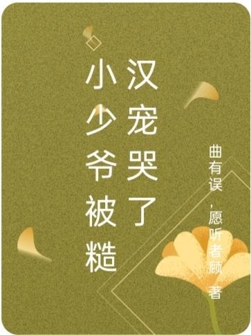 少爷小心 少爷小心
