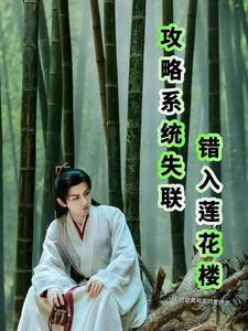 系统攻略出了错 系统攻略出了错