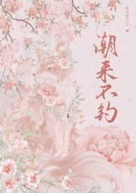 潮来又潮往猜数字 潮来又潮往猜数字