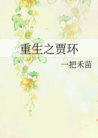 重生贾环之贾府求生记 重生贾环之贾府求生记